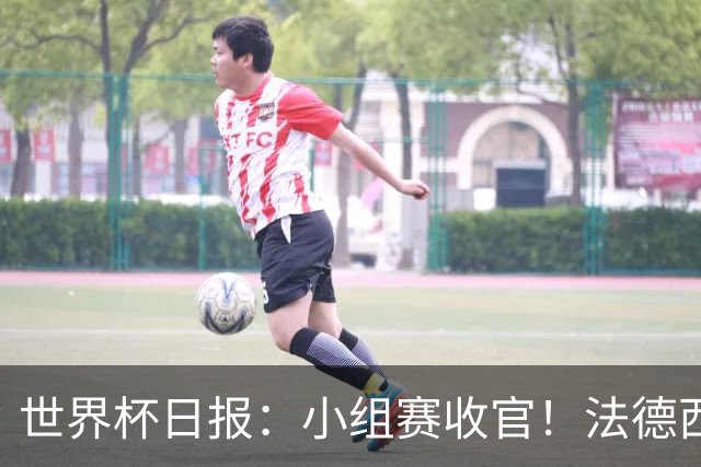 世界杯日报：小组赛收官！法德西荷葡半区绞杀+韩国伊朗出局