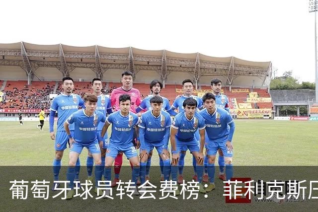 葡萄牙球员转会费榜：菲利克斯压C罗居首 M费、G·拉莫斯列前五